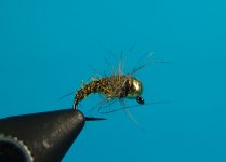 DSC05745.JPG