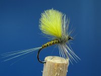 Bwo.jpg