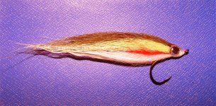 polar fox minnow.jpg