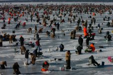 isfiske_cup[1].jpg
