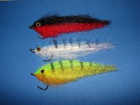sf baitfish 12.JPG