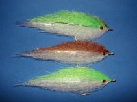 sf baitfish 15.JPG