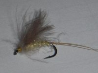 Ice dabing cdc 16.jpg