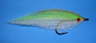 baitfish 1.jpg