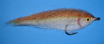 baitfish 3.jpg