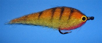 baitfish 4.jpg