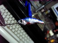 3 [Desktop Resolution].jpg