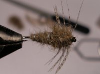 PC105732.JPG