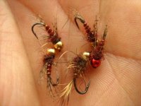 Bead head claret nymph.jpg