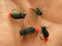 Chub classic flies.jpg