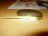 PC230360.JPG