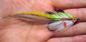 pike   streamer.jpg