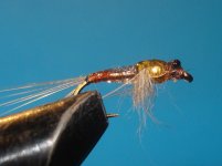 DSC05118.JPG