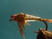 DSC05133.JPG