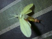 DSC00106.JPG
