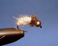 larva krznokrilca.jpg