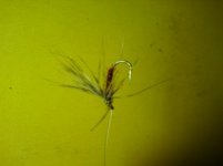 DSC00216.JPG