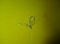 DSC00219.JPG