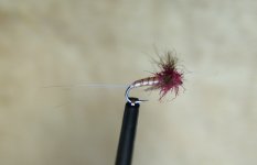 DSC06945.JPG