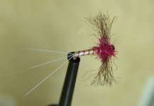 DSC06947.JPG