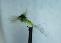 DSC06956.JPG