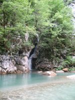 IMG_1849.jpg
