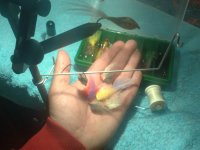 TyinG.jpg