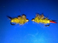 21022010075.jpg