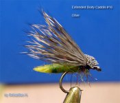 caddis extended b..jpg
