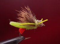 Chub attractor CHARTREUSE.jpg