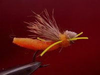 Chub attractor ORANGE.jpg