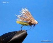 caddis.jpg