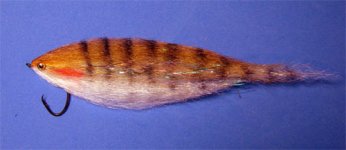 17cm.jpg
