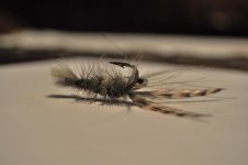 0001 [Desktop Resolution].jpg