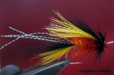 Sagittarius SHRIMP 5.jpg