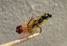 Tesst WORM 003.jpg