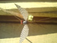 DSC00330.JPG