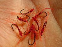 Red nymphs.jpg