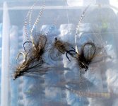 1 bwo 4.jpg
