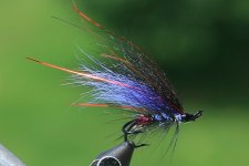 IMG_4780.JPG