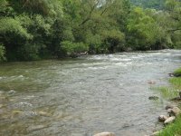 IMG_0005.JPG